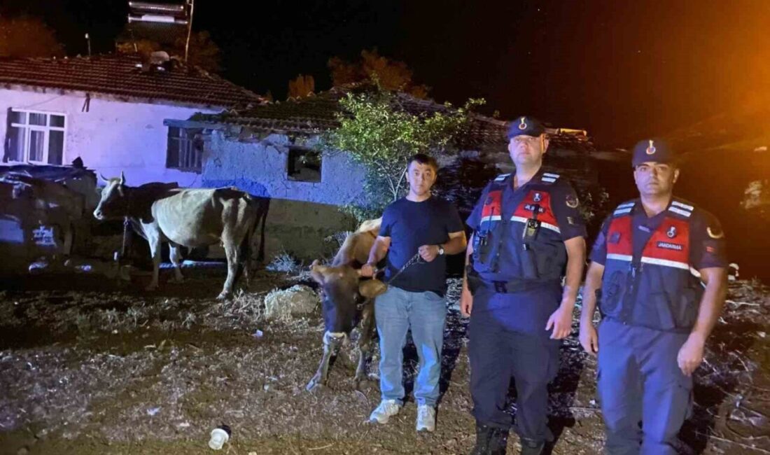 Yozgat’ta büyükbaş hayvanları kaybolan çiftçinin yardımına Jandarma yetişti. Yozgat’ın Kadışehri