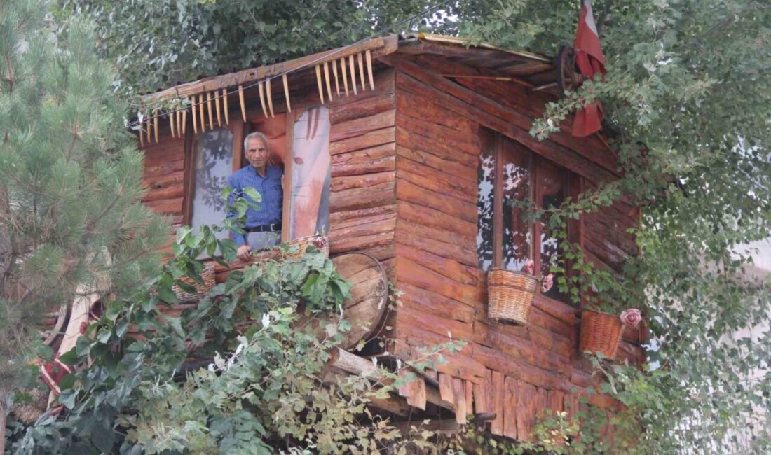 Sivas’ta yaşayan ve 16 yaşında hayatını kaybeden oğlu için ağaç