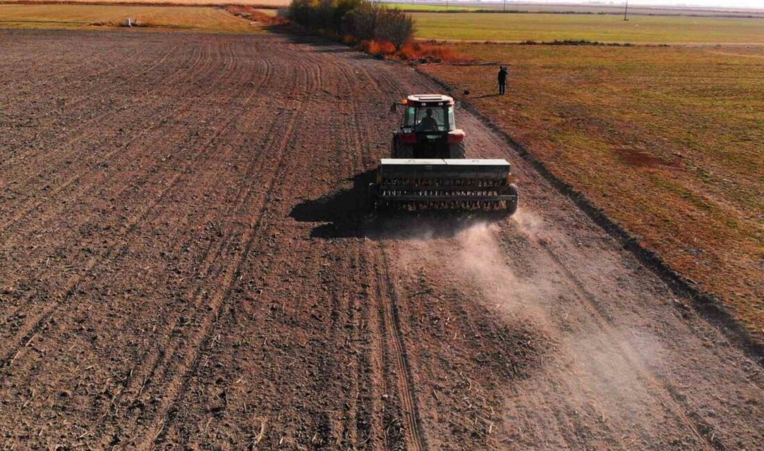 Türkiye’nin tahıl ambarı Konya Ovası’nda yaklaşık 10 milyon dekar alanda