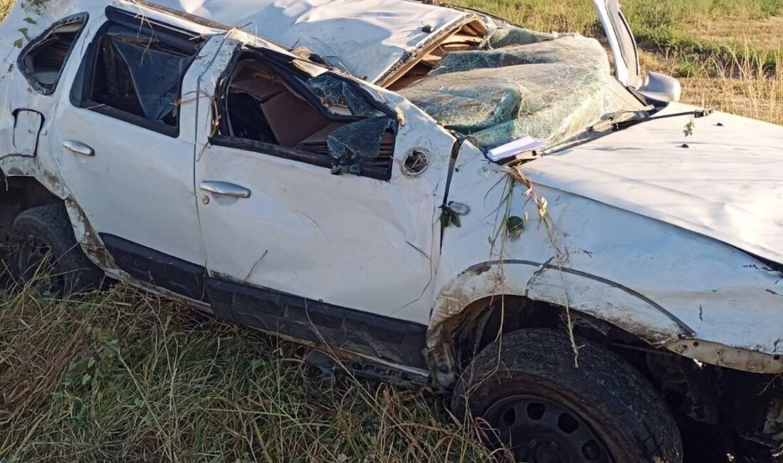 Manisa’nın Salihli ilçesinde sürücüsünün kontrolünden çıkan kamyonet takla atarak tarlaya