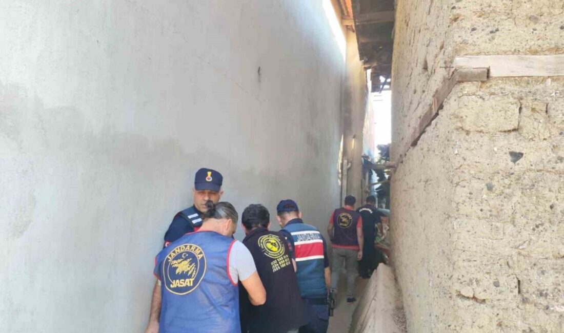 Denizli’de düşerek yaralandığı iddiasıyla hastaneye kaldırılan yaşlı kadın hayatını kaybetti.