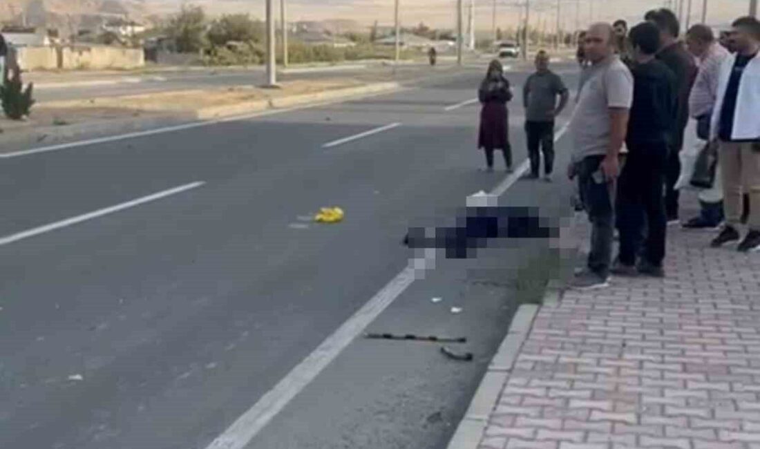 Iğdır-Doğubayazıt yolu Konaklı Mahallesi civarında, yolun karşısına geçmeye çalışan yaşlı