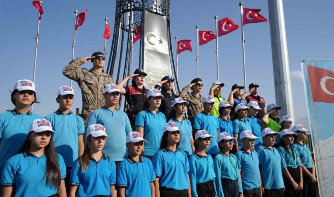 Iğdır’ın Aralık ilçesindeki Dilucu Sınır Kapısı yakınlarında, 8 Eylül 2015