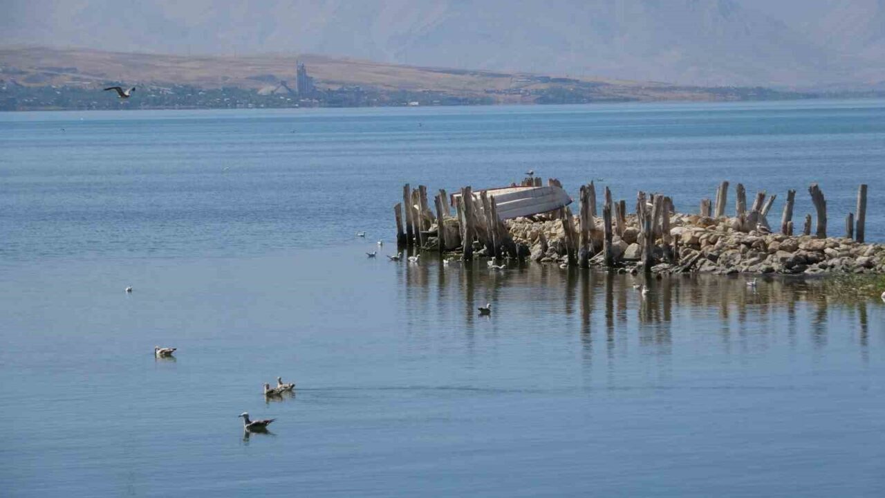 Van Yüzüncü Yıl Üniversitesi (YYÜ) Edebiyat Fakültesi Coğrafya Bölümü Öğretim