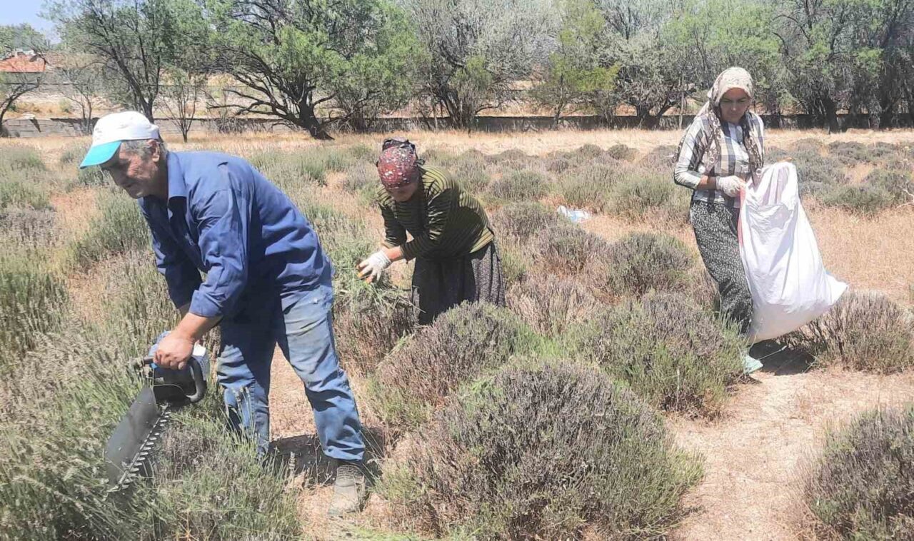 Afyonkarahisar’ın Evciler ilçesinde köy tüzel kişiliğine ait 8 dekarlık araziye