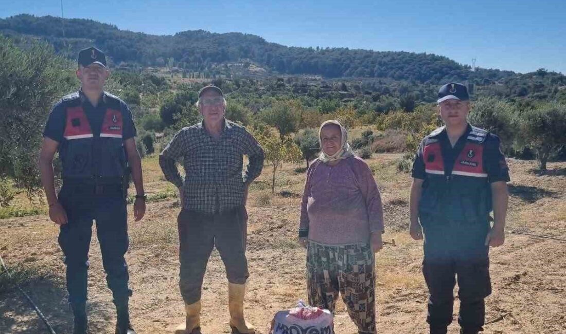 Aydın’ın Germencik ilçesinde jandarma ekipleri tarafından incir hırsızlığına suçüstü yapılırken,
