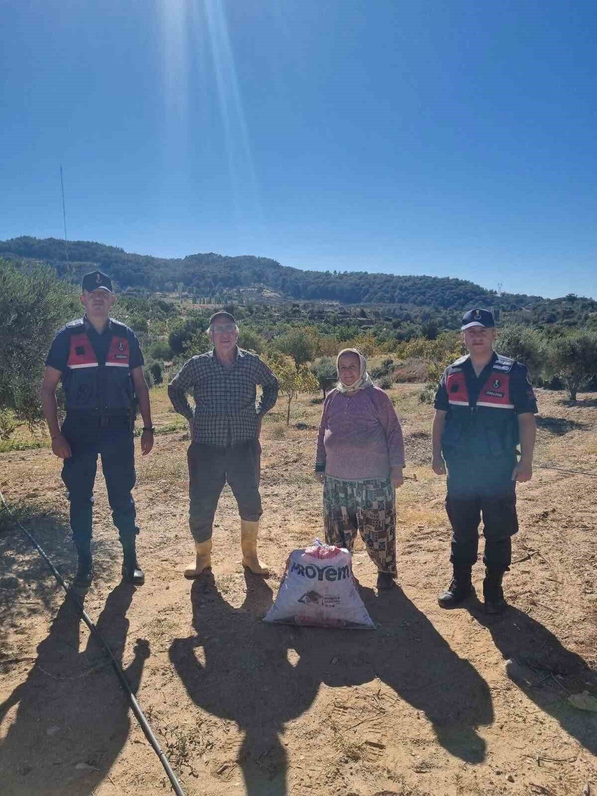 Aydın’ın Germencik ilçesinde jandarma ekipleri tarafından incir hırsızlığına suçüstü yapılırken,