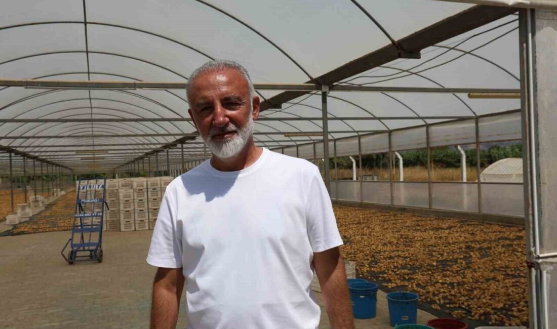 Dünyanın ve Türkiye’nin en kaliteli ve en fazla incirinin üretildiği