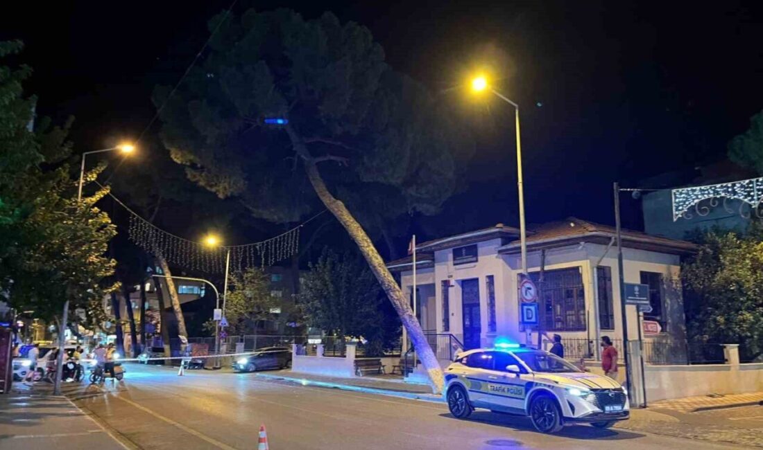 Aydın’ın İncirliova ilçesinde akşam saatlerinde etkili olan kuvvetli rüzgar nedeniyle