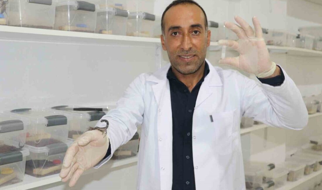 Diyarbakırlı inşaat ustası Abdullah Fidanten, 10 yıl önce izlediği belgesellerden