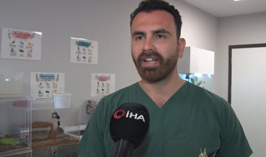 İstanbul Çekmeköy’de rehabilitasyon merkezinde yediği aşırı meyveden rahatsızlanan 3 yaşındaki