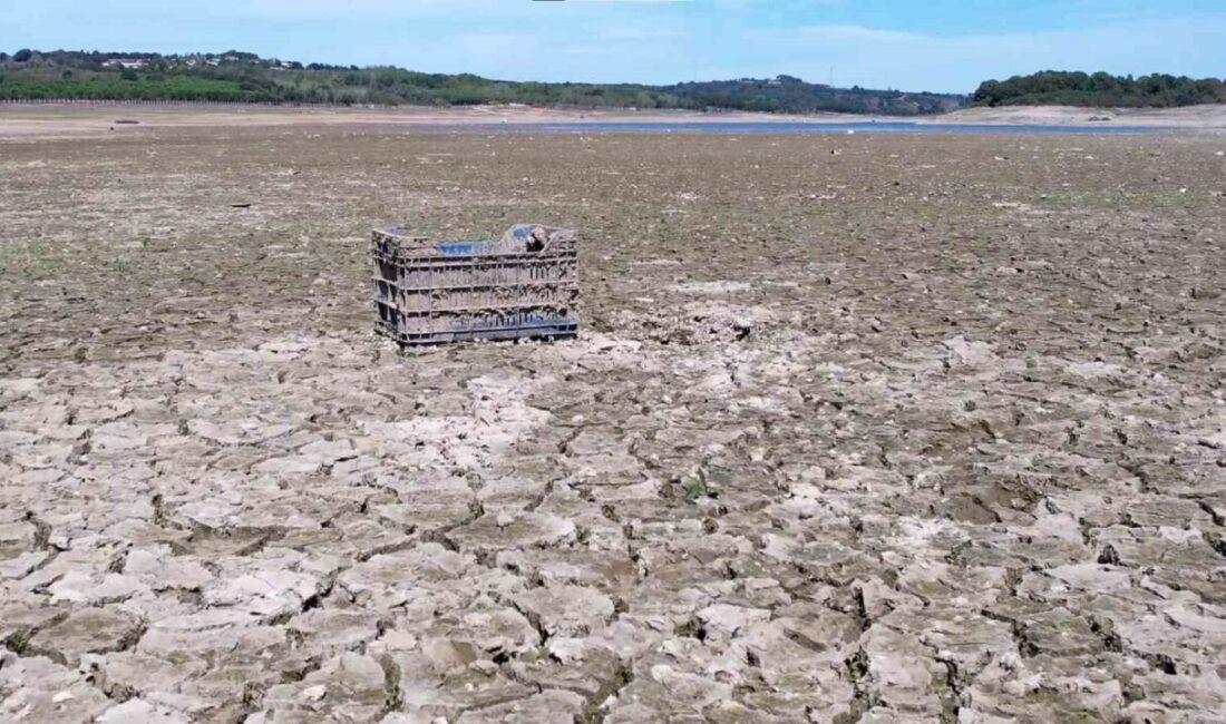 İstanbul’un en önemli içme suyu kaynaklarından biri olan Ömerli Barajı’nda
