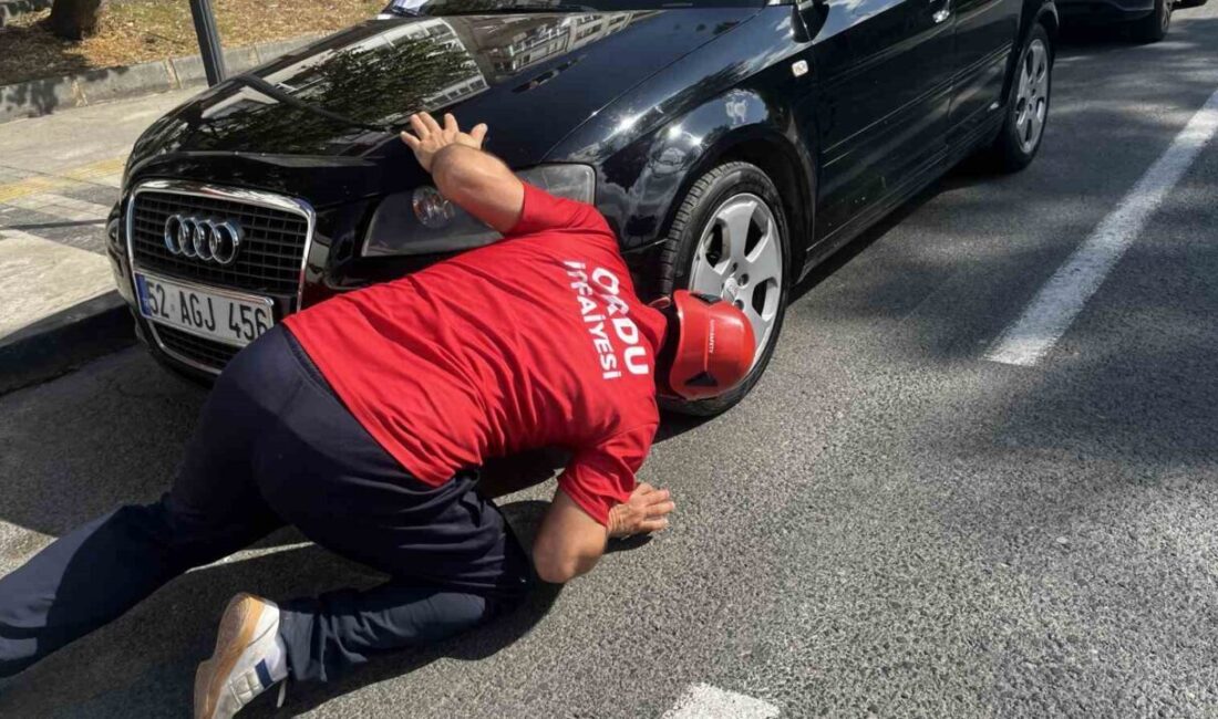 Ordu’nun Ünye ilçesinde, bir otomobilin motor kısmına giren yavru kedi,
