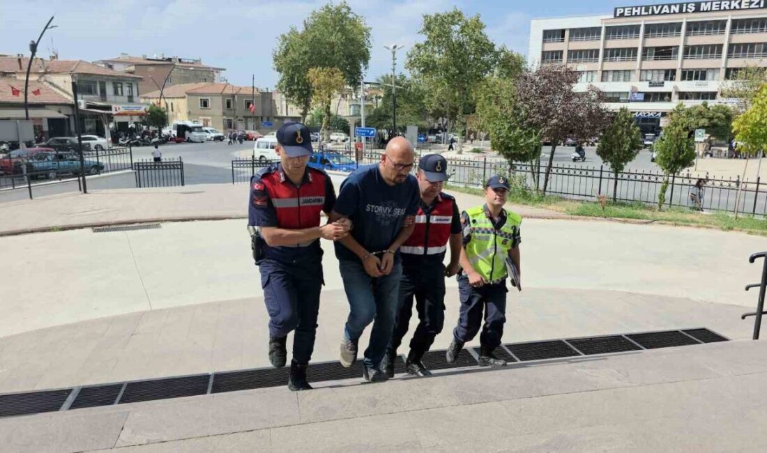 İzmir’in Tire ilçesinde devriye gezen jandarma ekiplerinin dikkati büyük bir