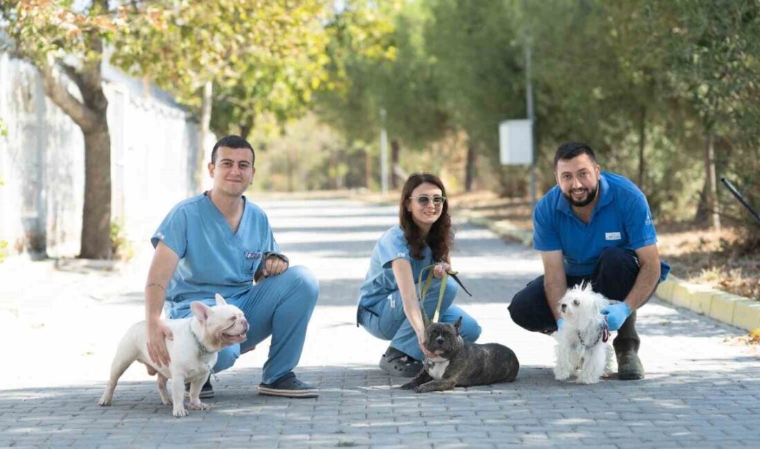 Bayraklı İlçe Tarım Müdürlüğü ekiplerinin doğal ihtiyaçları karşılanmadan ve uygunsuz