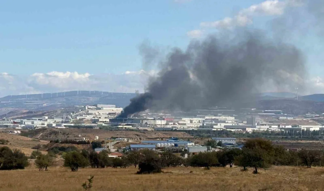 İzmir’in Aliağa ilçesinde bir çelik konstrüksiyon fabrikasında çıkan yangın korkuttu.