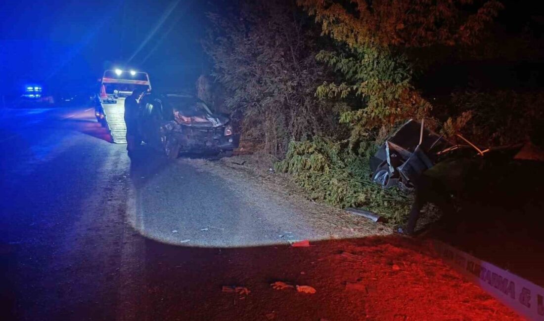İzmir’in Ödemiş ilçesinde alkollü sürücünün neden olduğu trafik kazasında 1