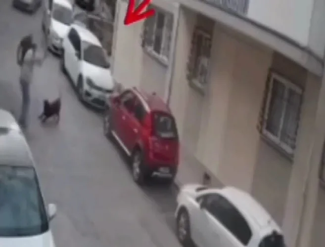 İzmir’in Balçova ilçesinde sokakta yürüyen bir kişi, yanına yaklaşan köpeğe