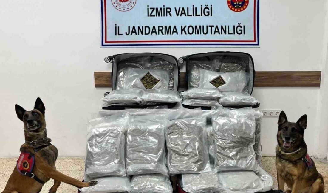 İzmir ili genelinde son bir haftada jandarma tarafından düzenlenen 15