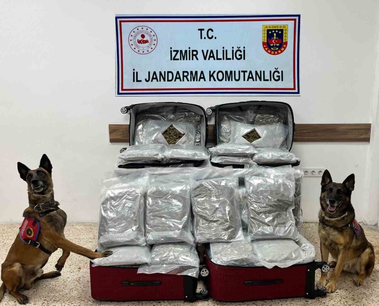 İzmir ili genelinde son bir haftada jandarma tarafından düzenlenen 15
