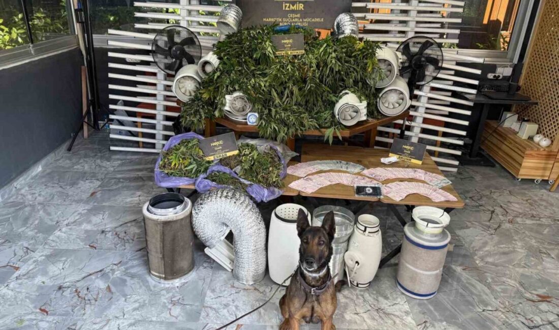 İzmir’in Çeşme, Karaburun, Seferihisar ve Urla ilçelerinde yaz boyunca düzenlenen