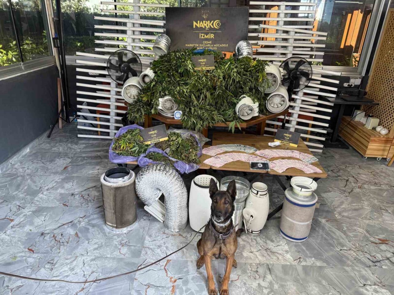 İzmir’in Çeşme, Karaburun, Seferihisar ve Urla ilçelerinde yaz boyunca düzenlenen