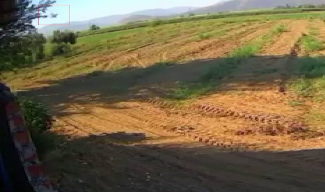 İzmir’in Torbalı ilçesinde, pilot Berfu Hatipoğlu’nun hayatını kaybettiği eğitim uçağının