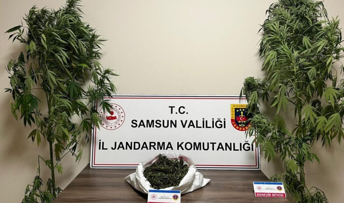 Samsun’da jandarma tarafından düzenlenen uyuşturucu operasyonunda 3 kilo 237 gram