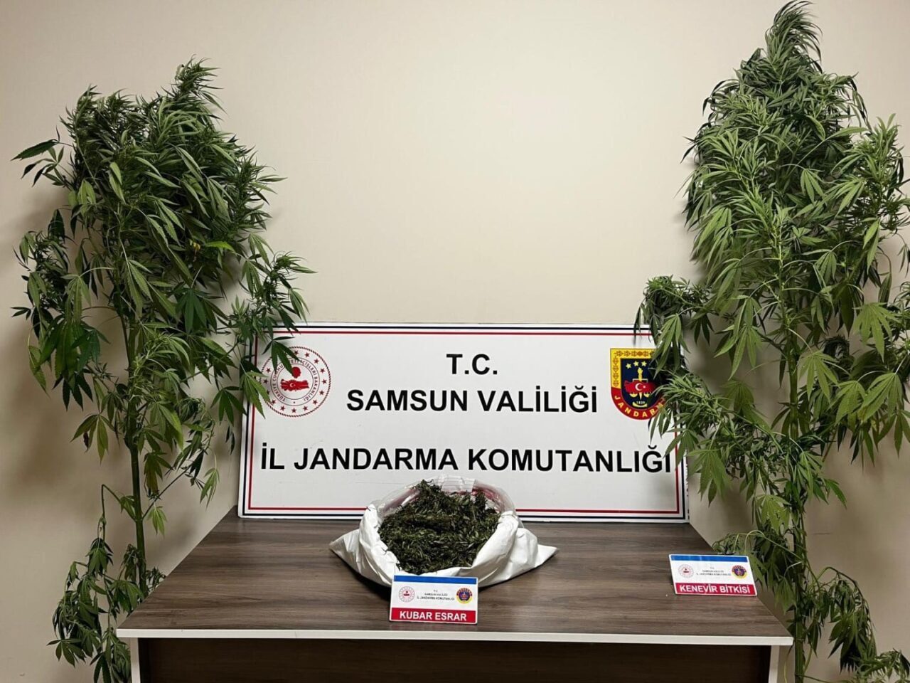 Samsun’da jandarma tarafından düzenlenen uyuşturucu operasyonunda 3 kilo 237 gram