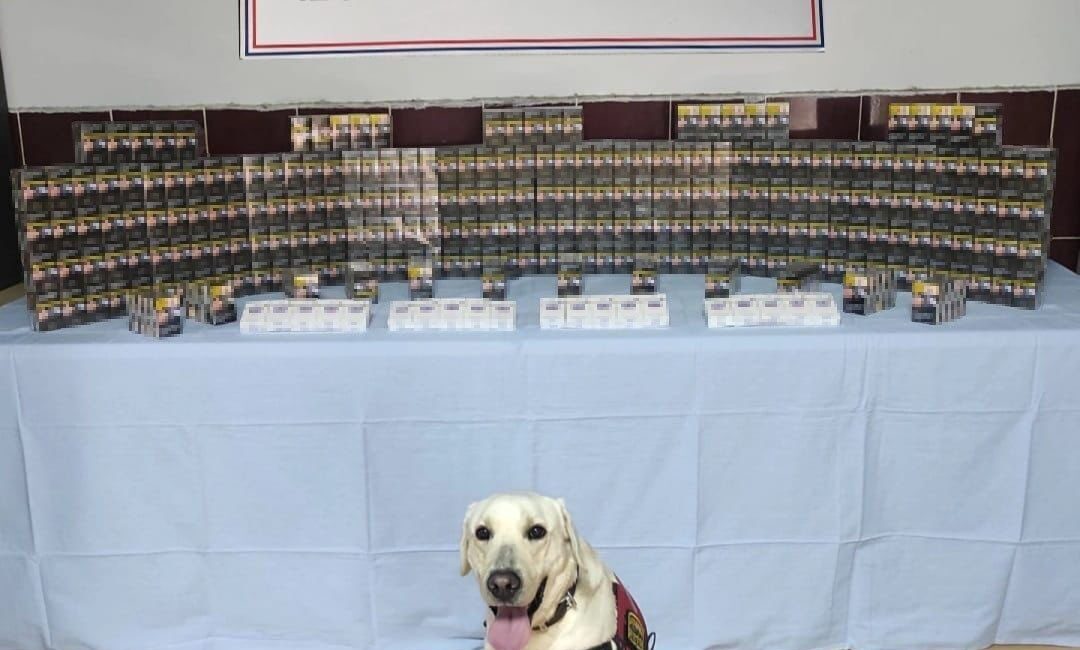 Şanlıurfa’nın Viranşehir ilçesinde jandarma ekipleri tarafından yapılan çalışmada bin 320