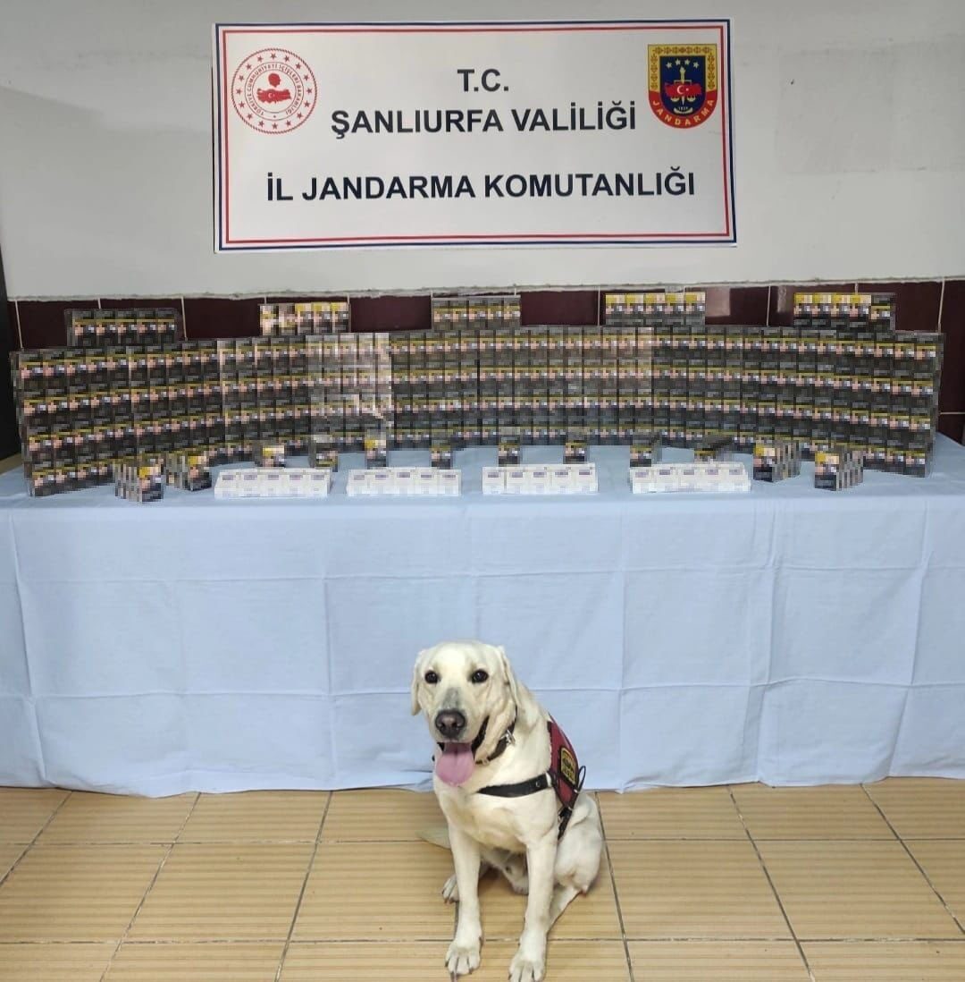 Şanlıurfa’nın Viranşehir ilçesinde jandarma ekipleri tarafından yapılan çalışmada bin 320