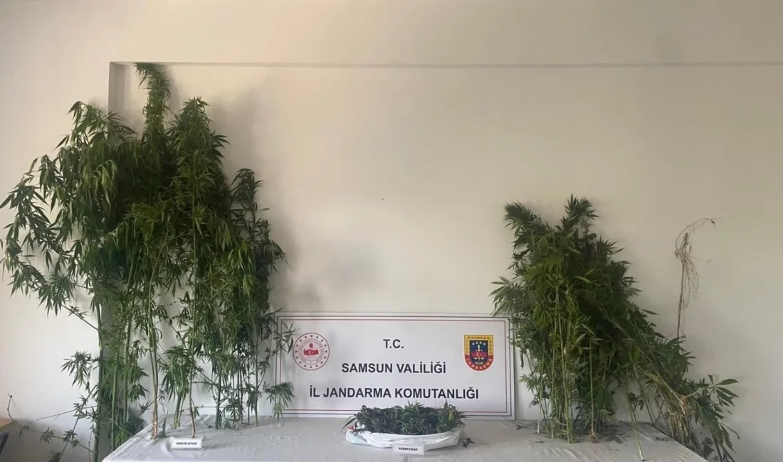 Samsun’da jandarma ekipleri tarafından Atakum ve Tekkeköy ilçelerinde düzenlenen iki