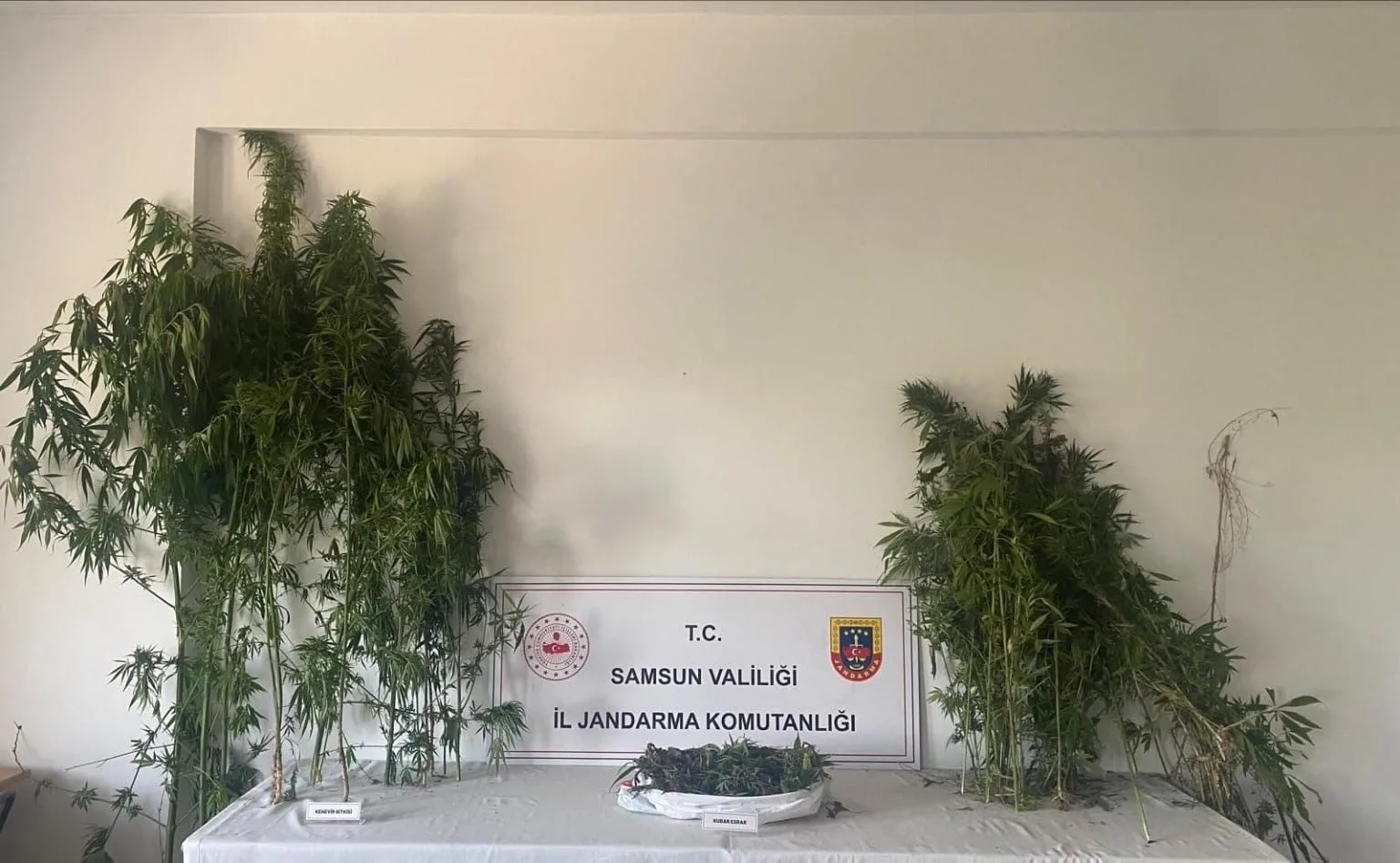 Samsun’da jandarma ekipleri tarafından Atakum ve Tekkeköy ilçelerinde düzenlenen iki