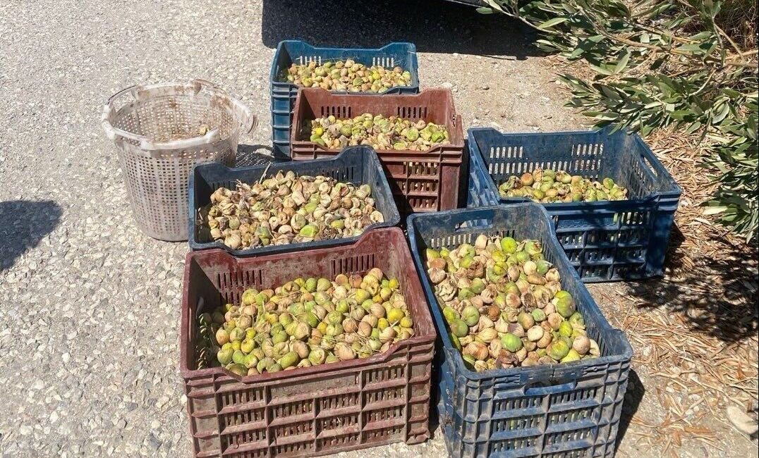 Manisa’nın Şehzadeler ilçesinde devriye gezen ekipler, 2 ayrı kişiye ait