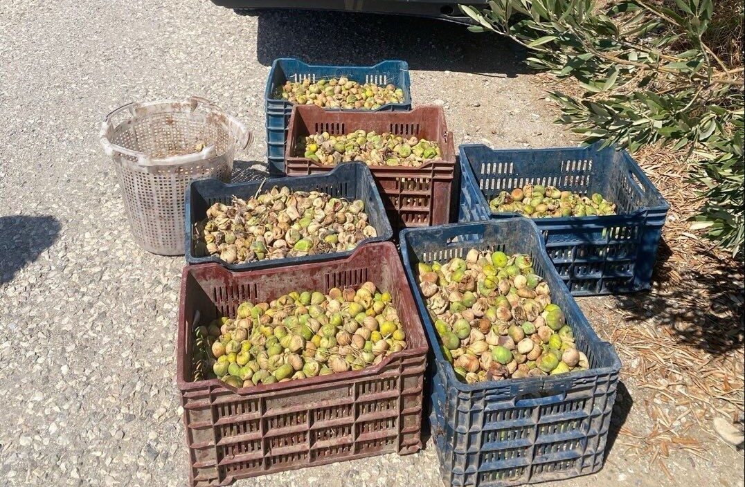 Manisa’nın Şehzadeler ilçesinde devriye gezen ekipler, 2 ayrı kişiye ait
