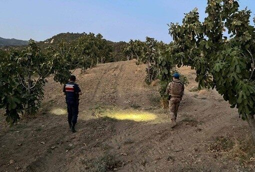 Aydın’da jandarma ekipleri ürün hırsızlığının önlenmesi kapsamında incir bahçelerinde devriye