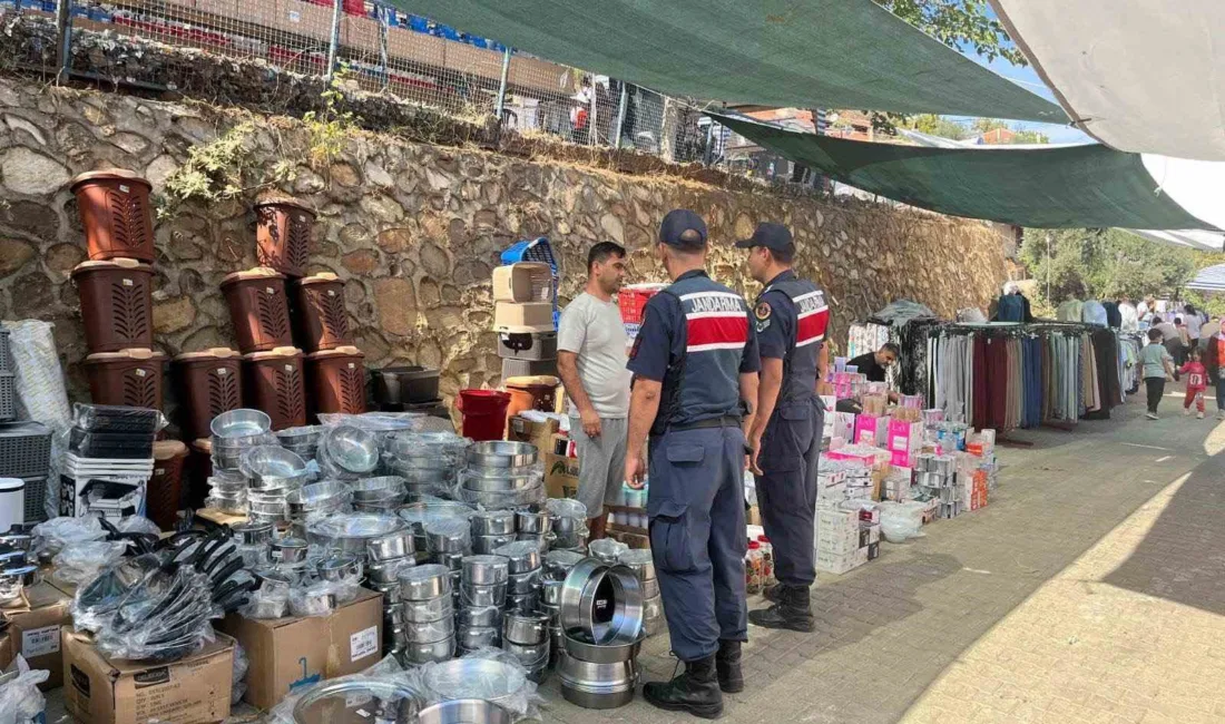 Karacasu’da düzenlenen 3. Elma, Tarım, Kültür ve Sanat Festivali’nde jandarma