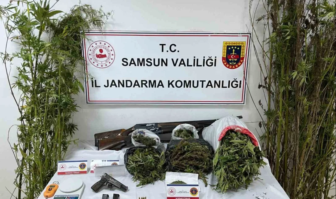 Samsun’un Salıpazarı ilçesinde jandarma ekipleri tarafından düzenlenen operasyonda uyuşturucu madde,