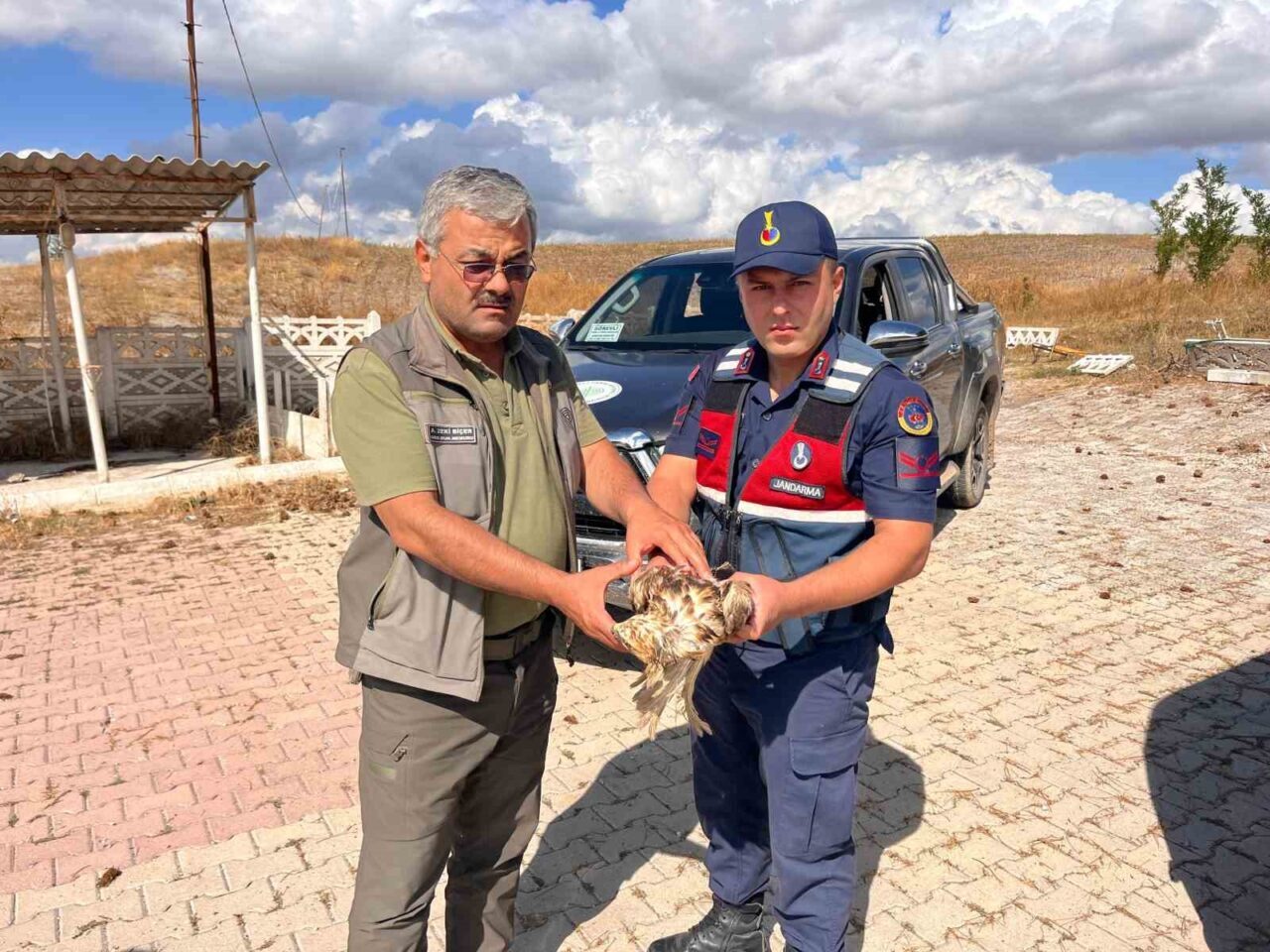 Çorum’un Alaca ilçesinde jandarma devriye ekiplerinin yol kenarında bitkin halde