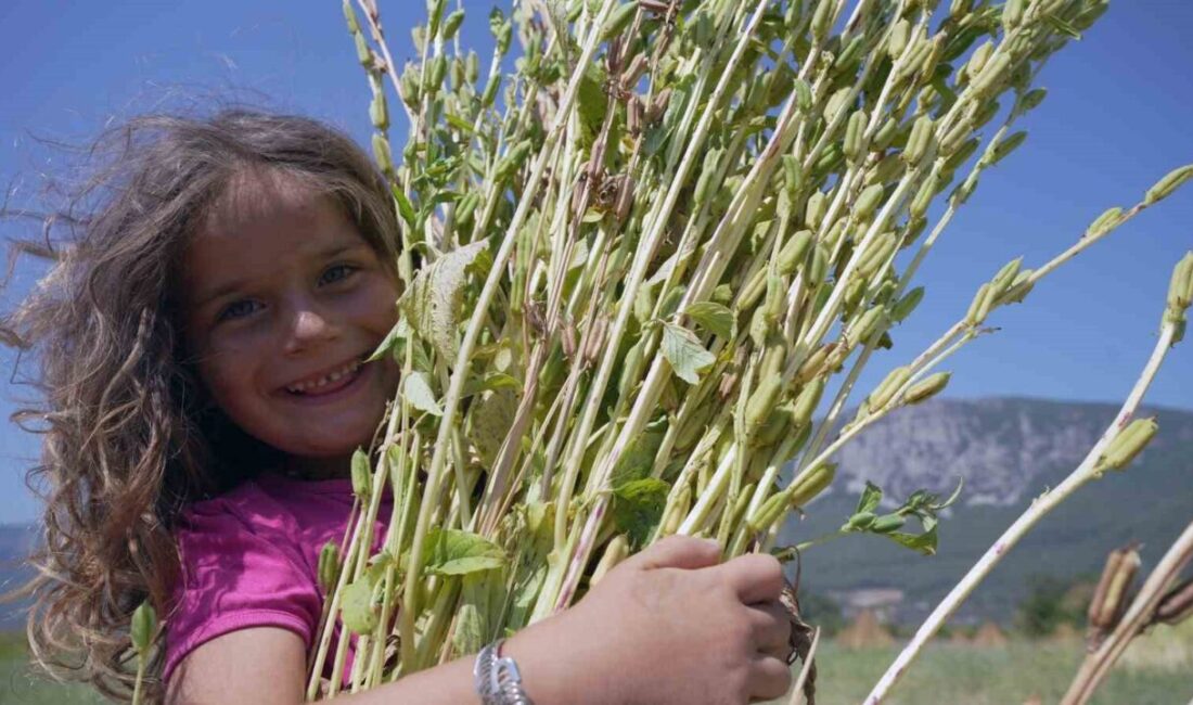 Muğla’nın dünyaca ünlü mavi yolculuk rotası Gökova Körfezi uç noktasında