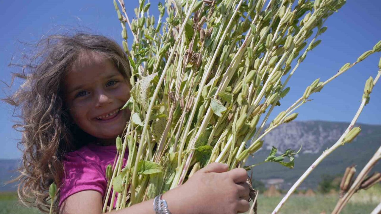 Muğla’nın dünyaca ünlü mavi yolculuk rotası Gökova Körfezi uç noktasında