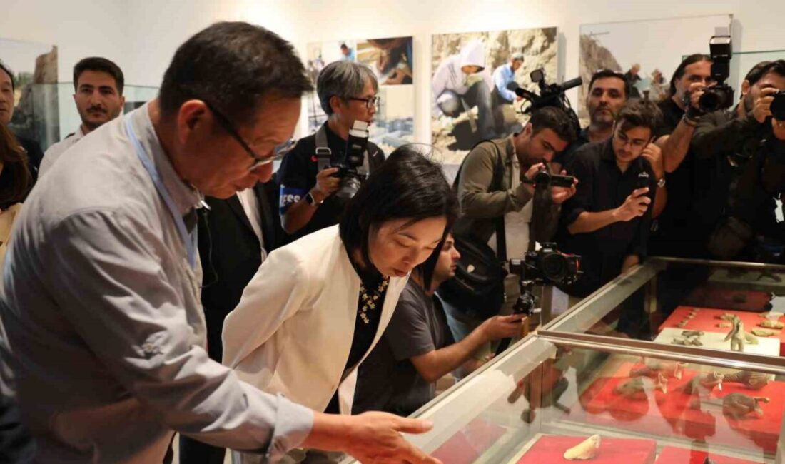 KIRŞEHİR (İHA) – Japonya Altes Prensesi Mikasa, bir dizi inceleme