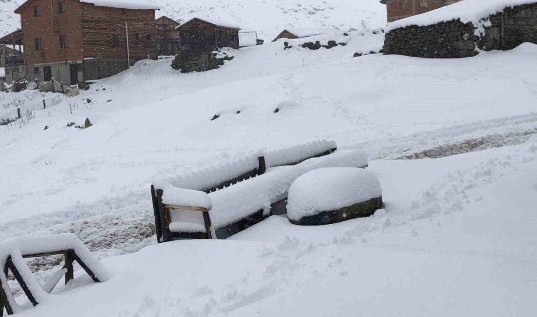 Rize’nin Çamlıhemşin ilçesine bağlı Kaçkar Dağları’ndaki Koçdüzü Yaylası’nda Eylü ayı