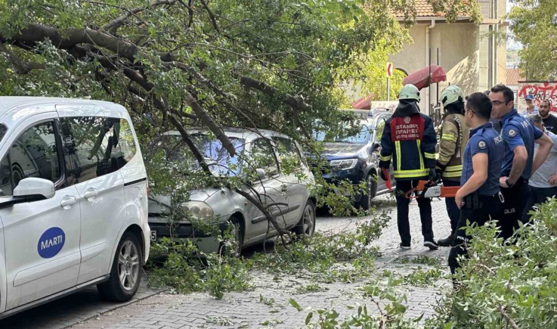 Kadıköy’de bir ağacın dalı koparak seyir halindeki bir otomobilin üzerine