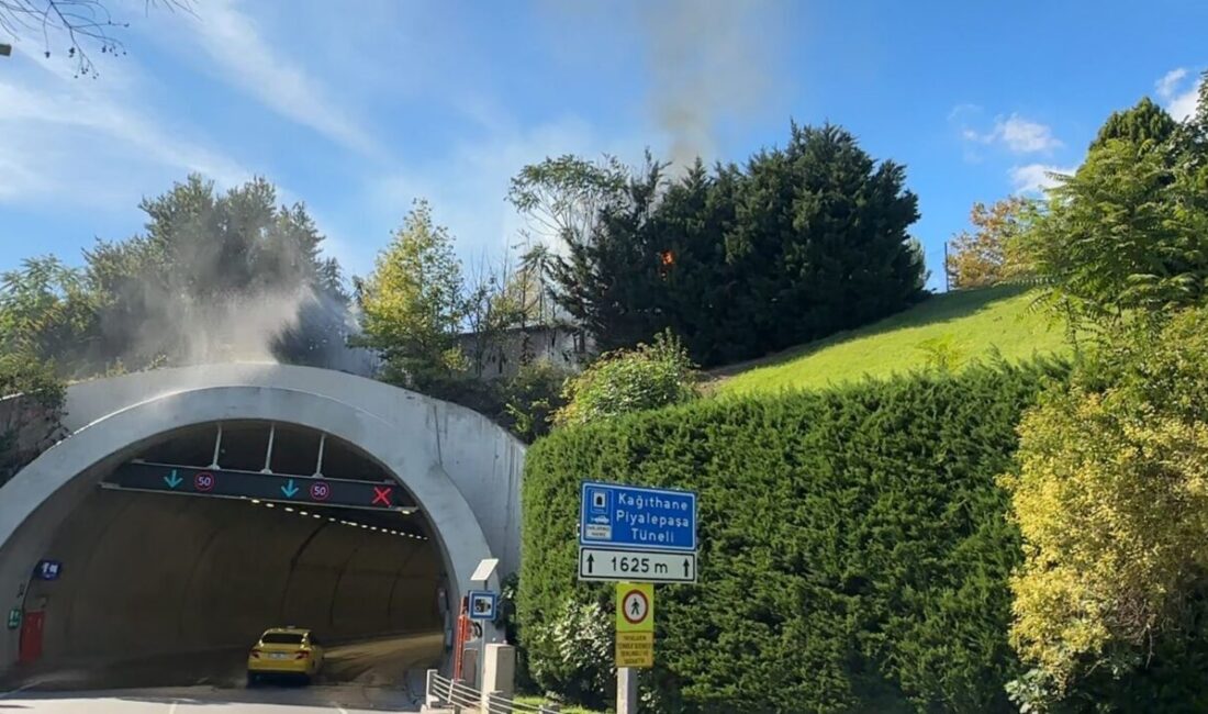 İstanbul’un Kağıthane ilçesinde Piyalepaşa Tüneli’nin girişindeki ağaçlık alandan alevler yükseldi.