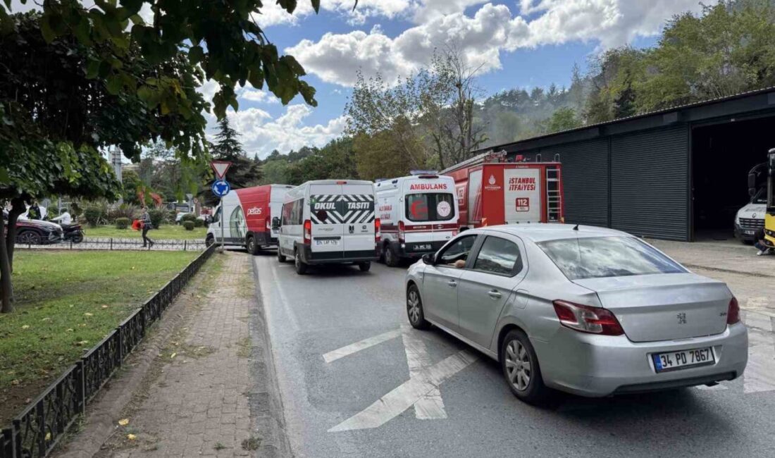 İstanbul’un Kağıthane ilçesinde bulunan ağaçlık alanda henüz bilinmeyen nedenle yangın