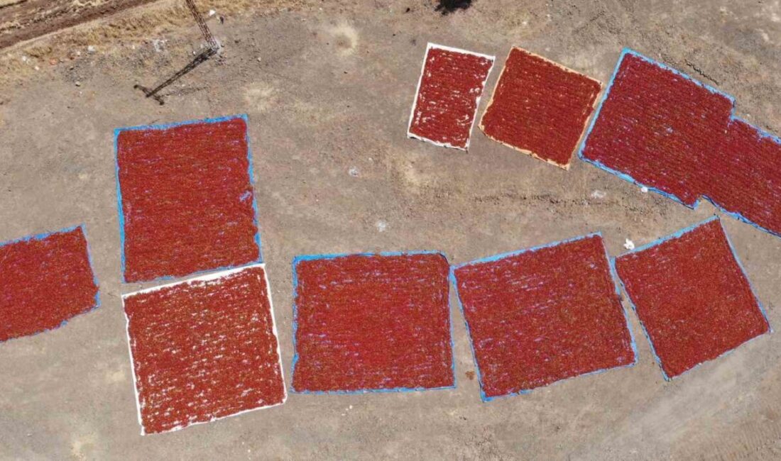 Kahramanmaraş’ta Türk Patent ve Marka Kurumu tarafından coğrafi işaret tescili