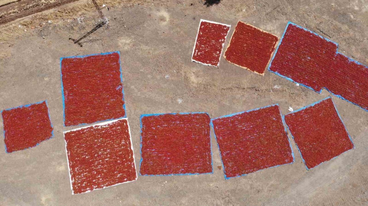 Kahramanmaraş’ta Türk Patent ve Marka Kurumu tarafından coğrafi işaret tescili