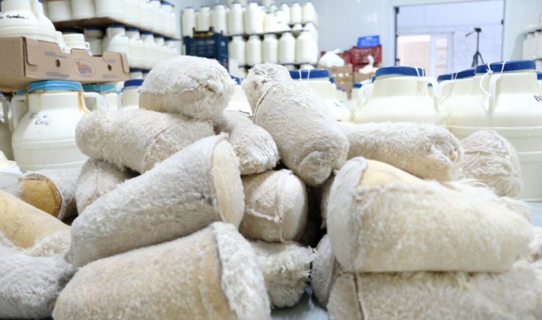 Erzincan’da yaşayan Şavak Aşireti mensupları, asırlardır süregelen geleneksel yöntemlerle ürettikleri