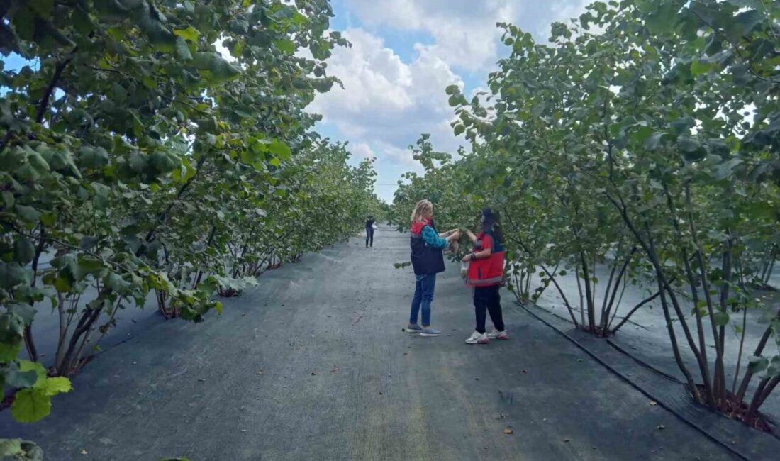 Samsun İl Tarım ve Orman Müdür Vekili Bekir Karaosmanoğlu, il
